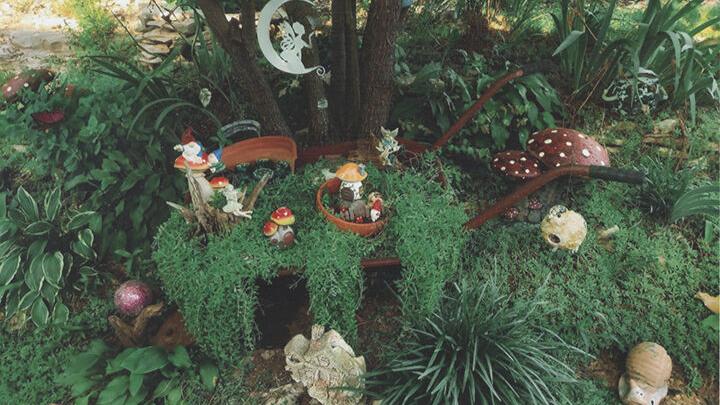 2025 Green Thumbs photo contest (part 2)